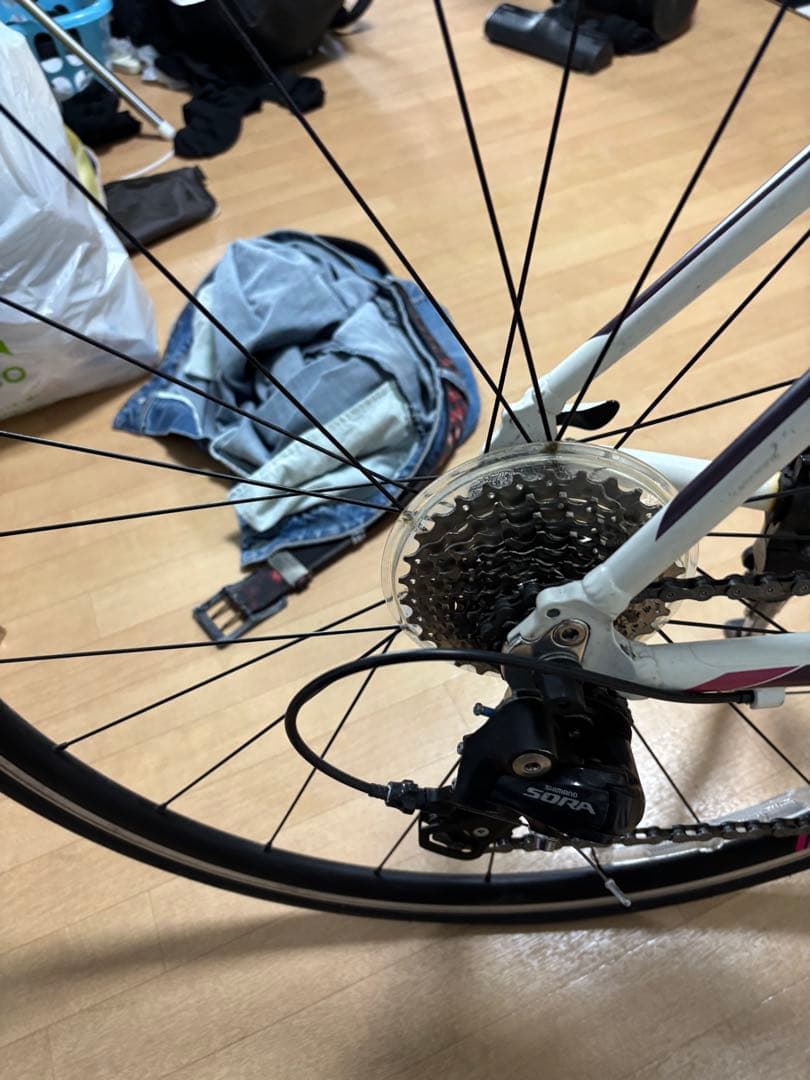 こーさん限定現地引取限定スコット Contessa SPEEDSTER 35.1