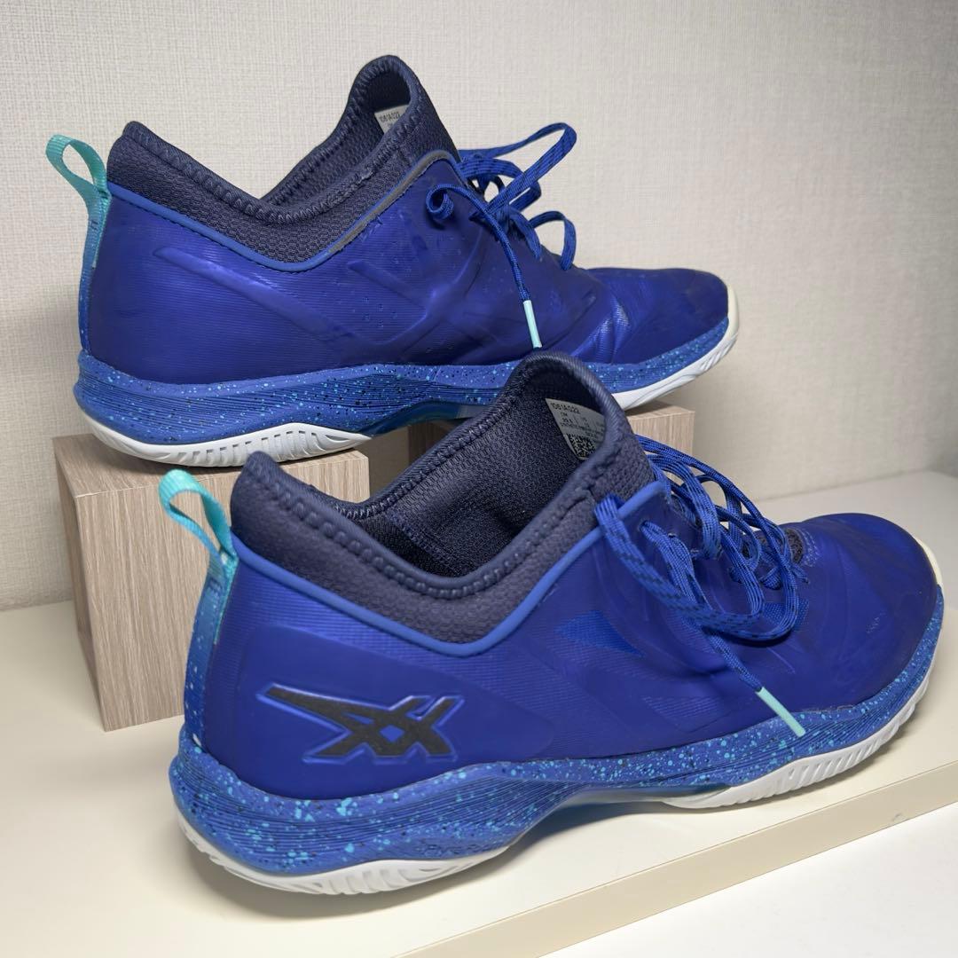 Asics Glide Nova ff2 限定カラー 29.5cm
