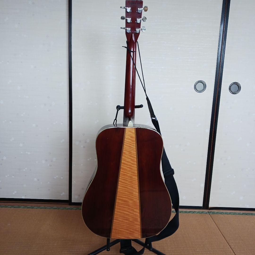 morris モーリスTF-W50 アコースティックギター