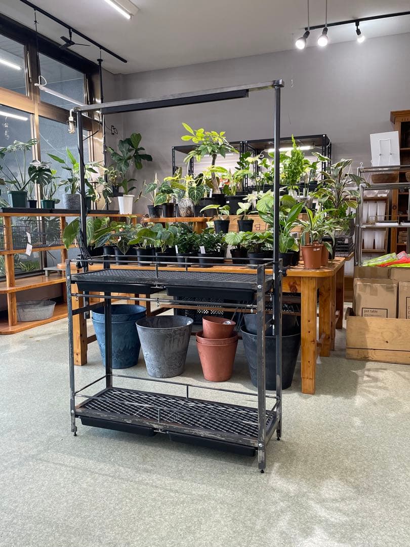 塗装前完成品　1台限定　アイアン植物棚　アイアンシェルフ　キャスターおまけ付