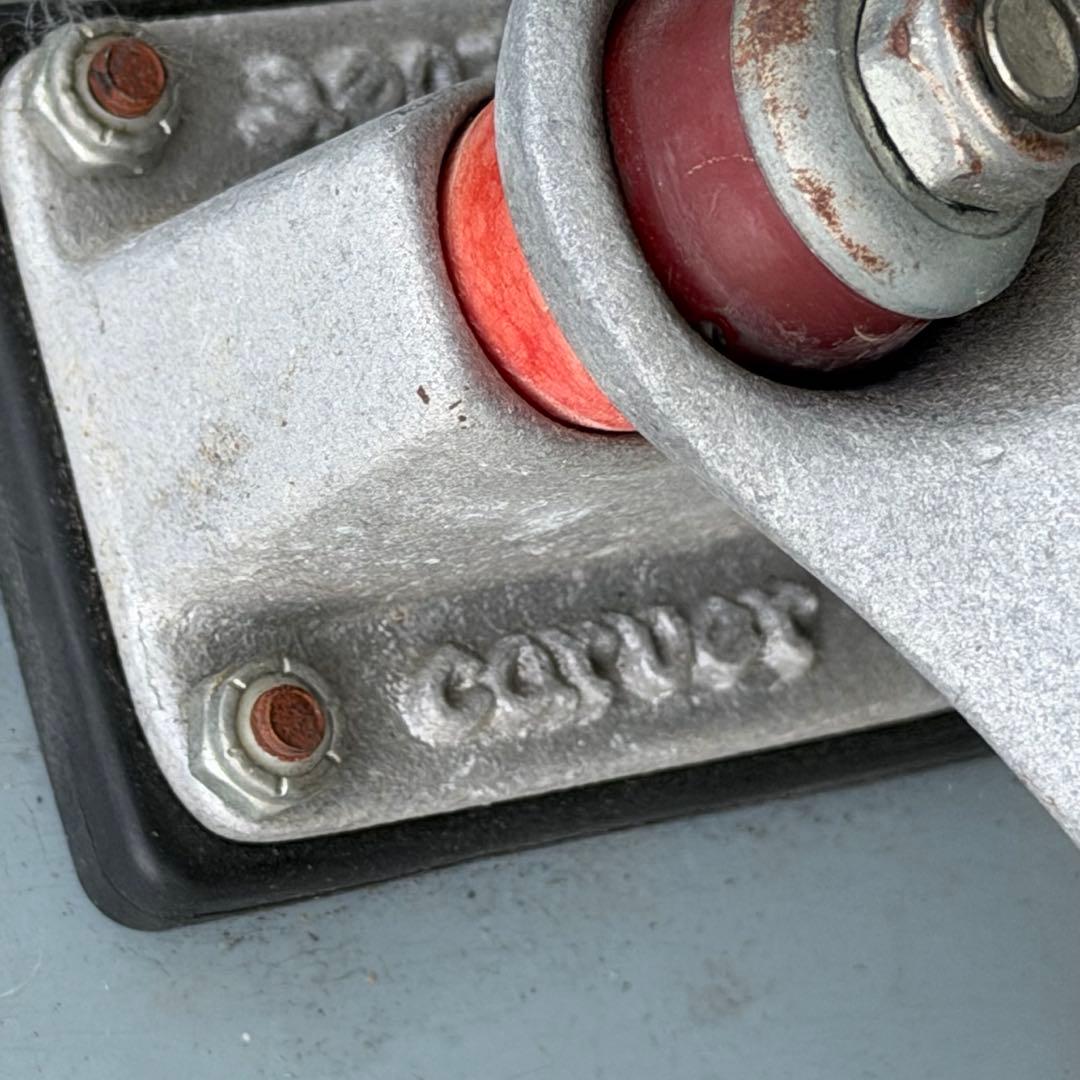 Carver Venice スケートボード コンプリート 良品 限定