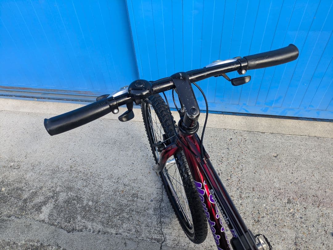 90’s OLD MTB　Mountain Cat 　マウンテンバイク
