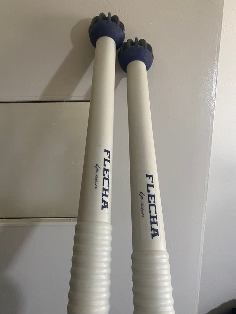FLECHA 練習用具 青白 2本