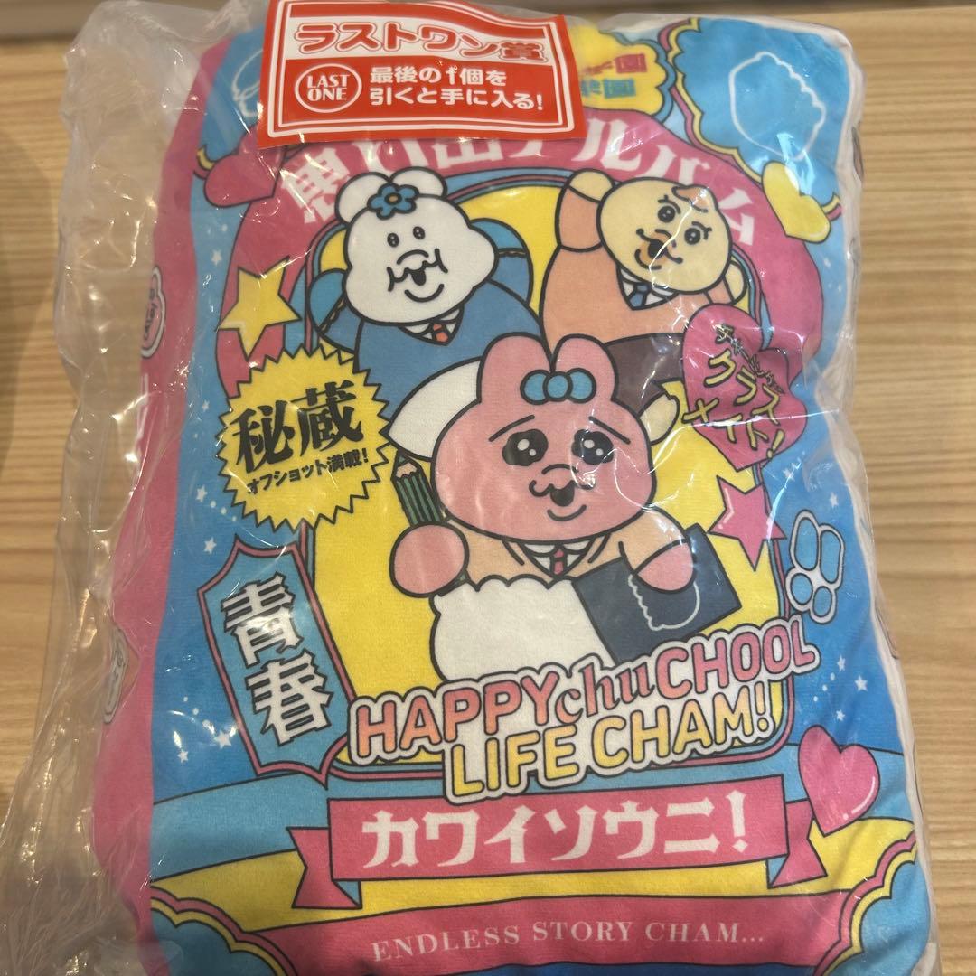 一番くじ　可哀想に ☆スクールライフ！ ラストワン賞 思い出アルバムクッション