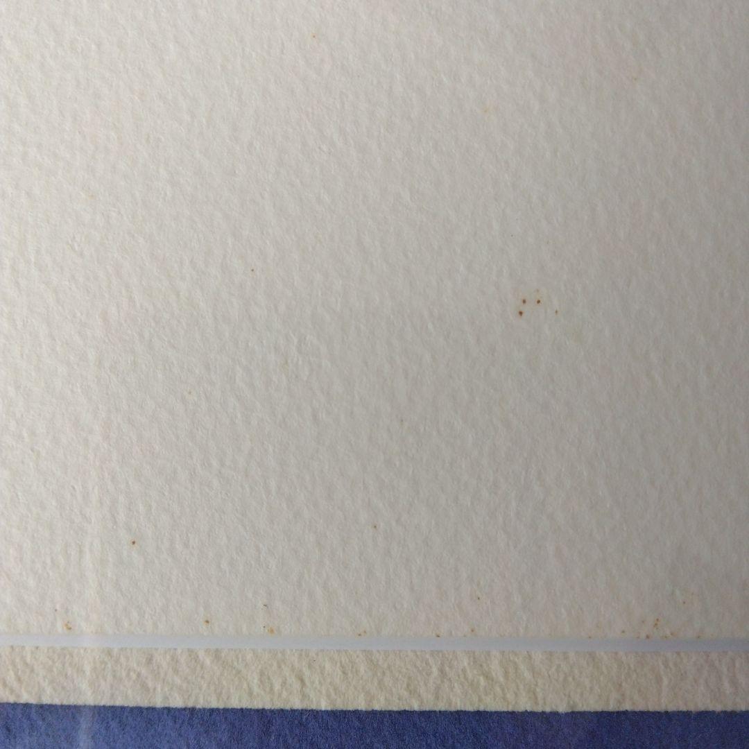 ヴィーヴィ・ケイパイネン　水彩画　1997年