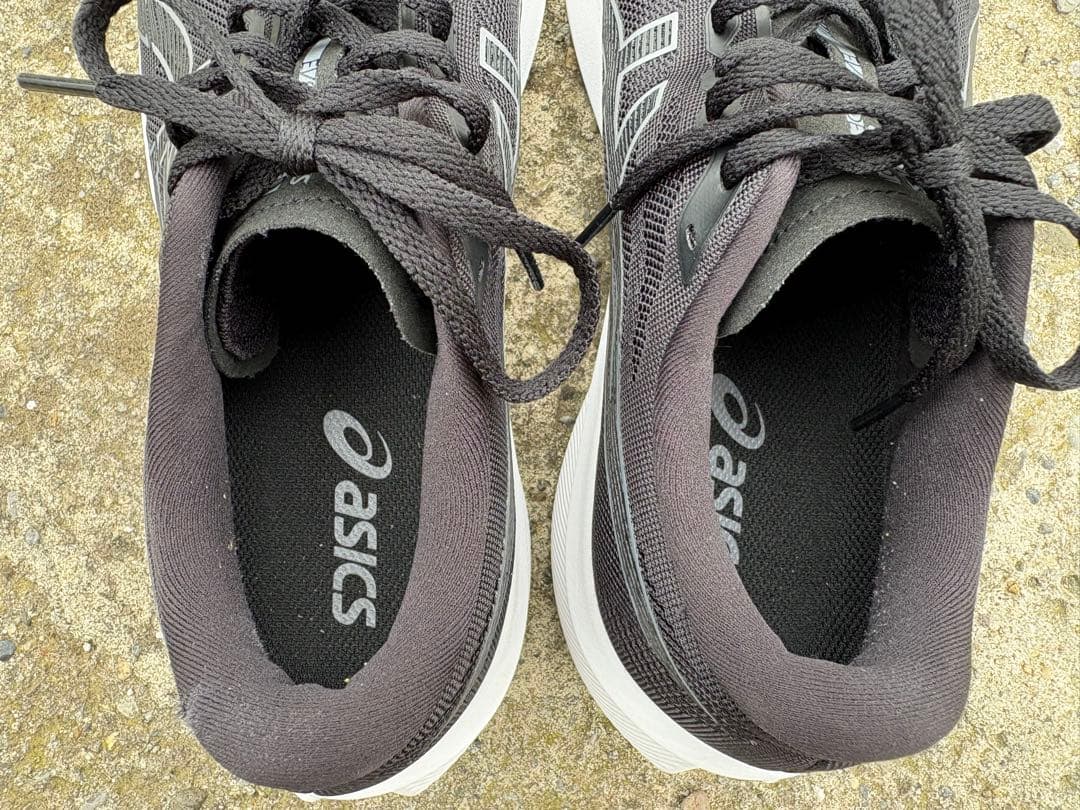 asics アシックス　evoride speed3 ランニング27.5cm