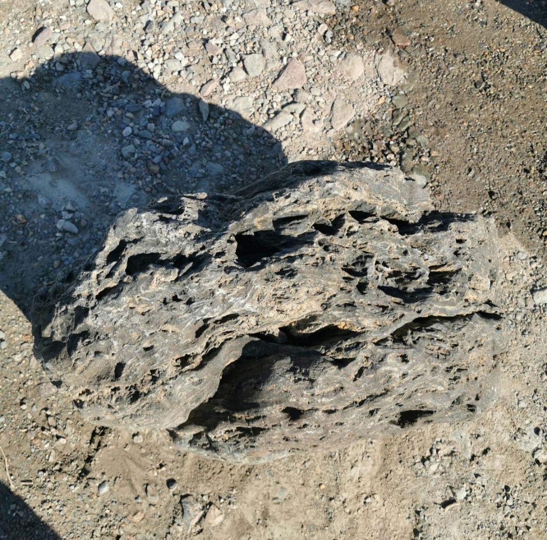 福島産　鮫川石　149キロ　庭石　鑑賞石 石　庭　坪庭　ガーデニング