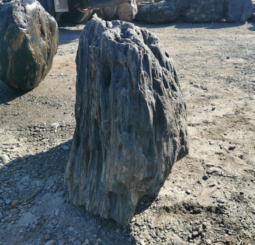 福島産　鮫川石　149キロ　庭石　鑑賞石 石　庭　坪庭　ガーデニング