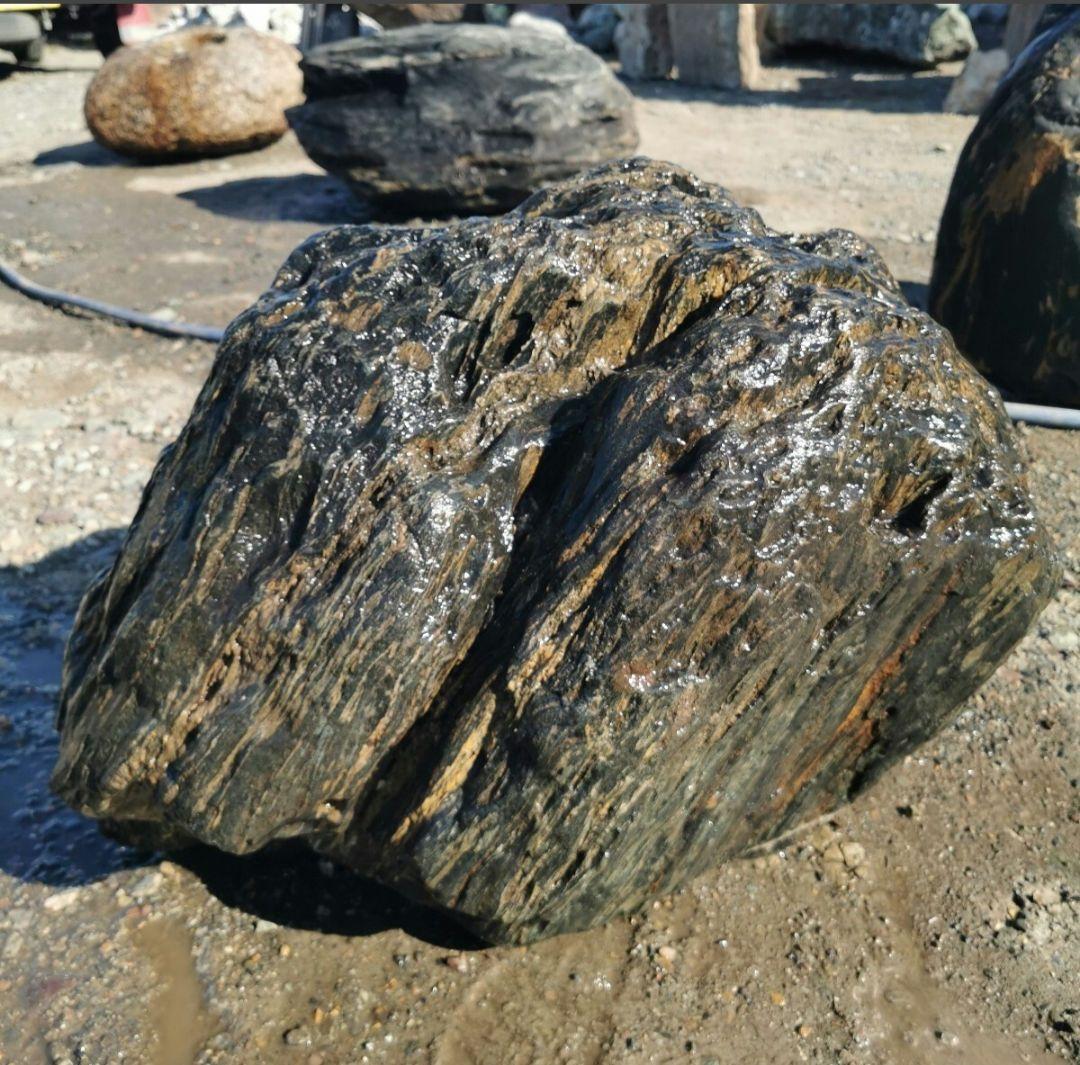 福島産　鮫川石　149キロ　庭石　鑑賞石 石　庭　坪庭　ガーデニング