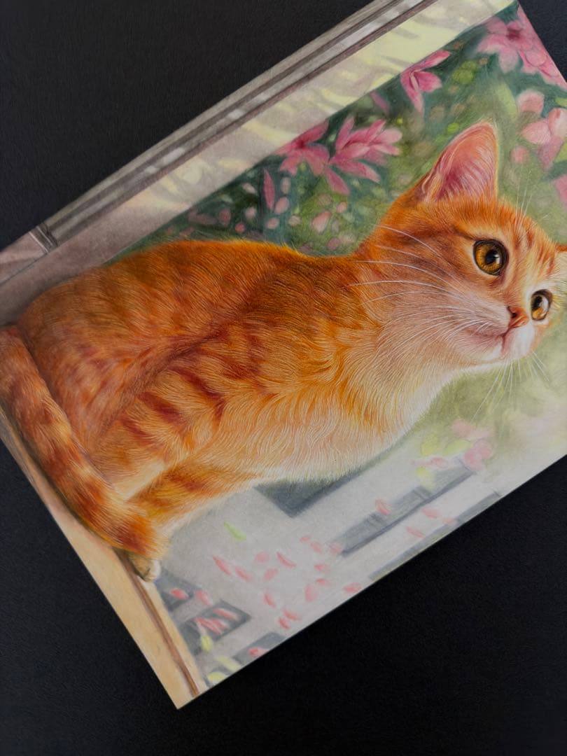 色鉛筆画A4 春を見つめる猫