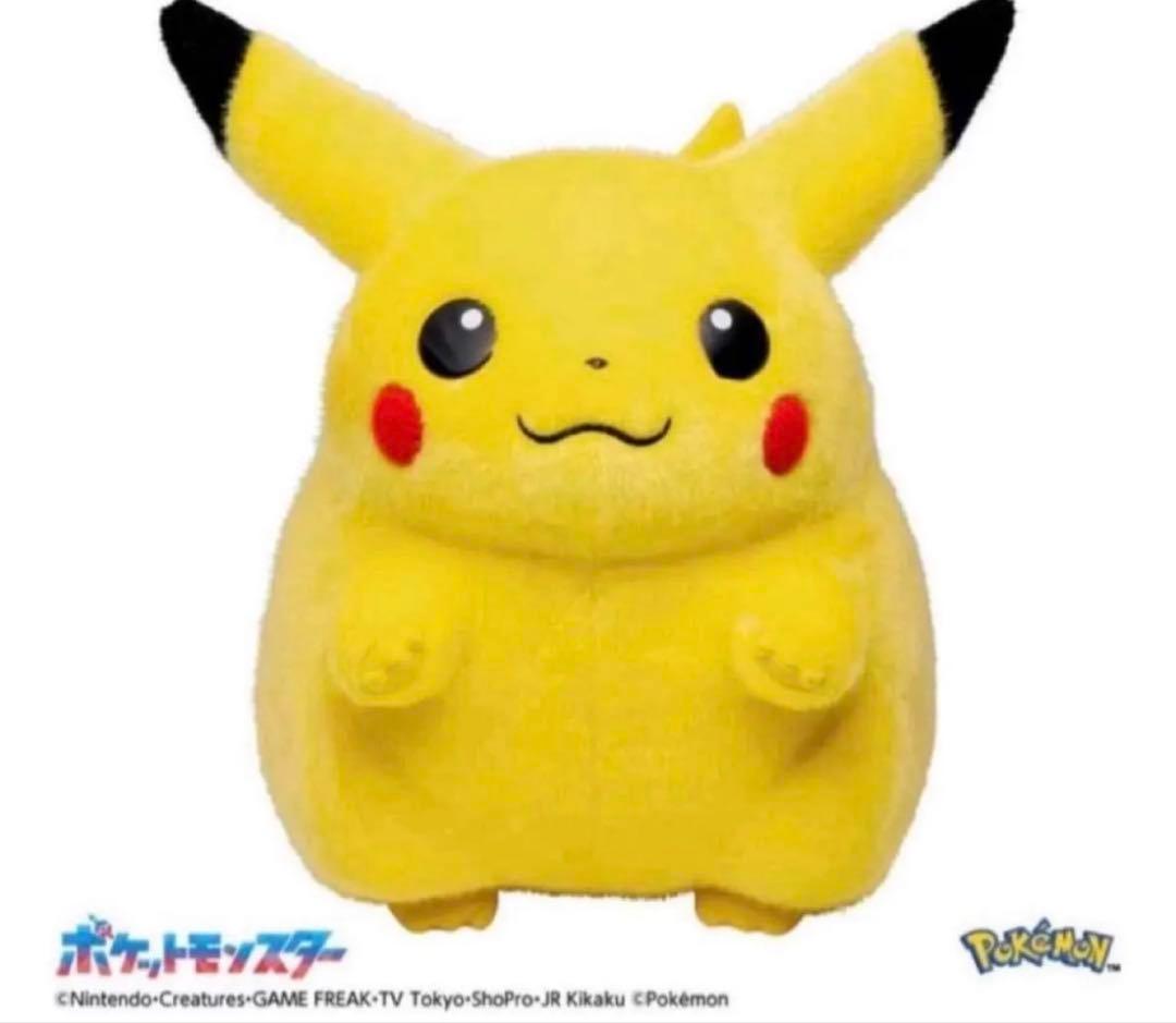 ✨専用BOX✨ポケモン30周年記念おかえり!ピカチュウ1/1