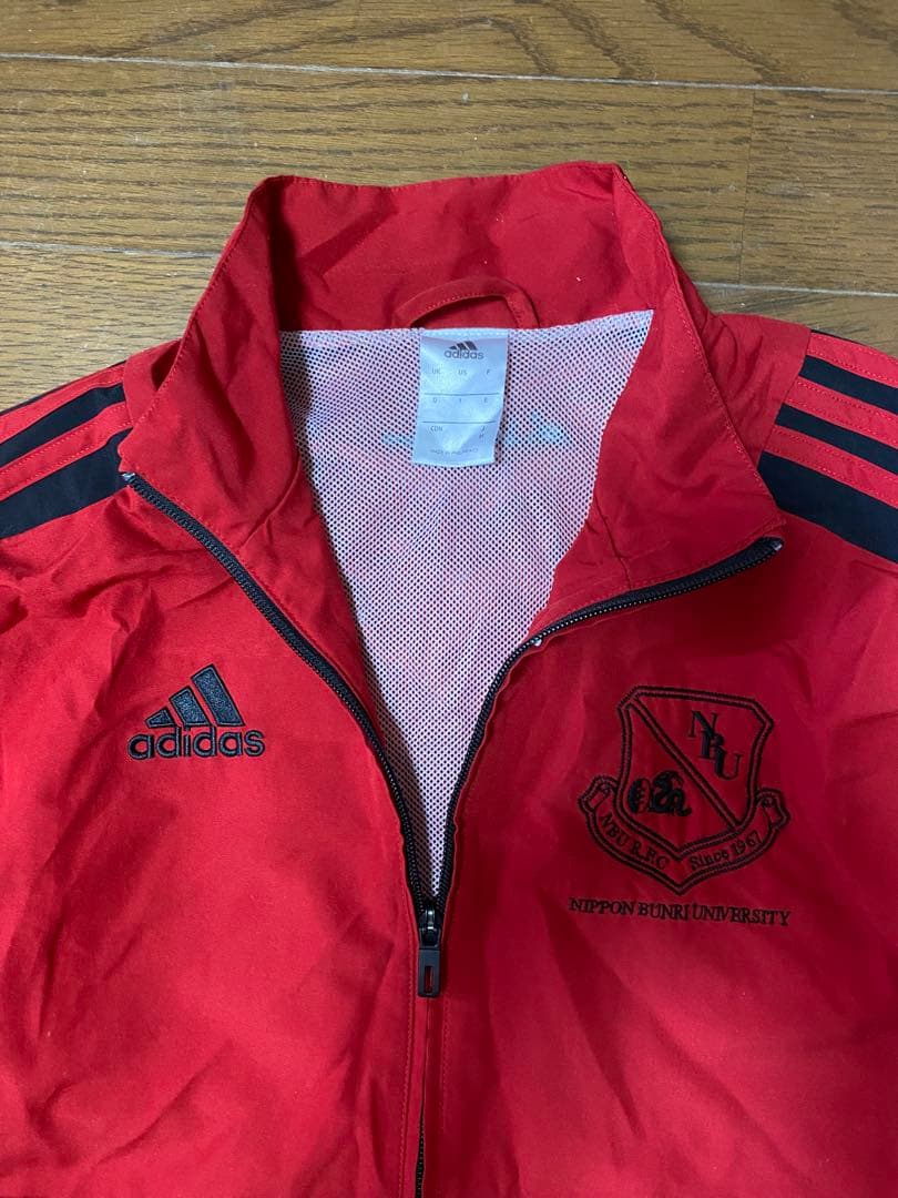 大学ラグビー　adidas ジャージ上下　M