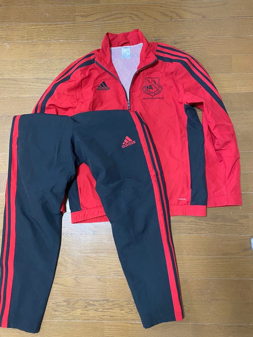 大学ラグビー　adidas ジャージ上下　M