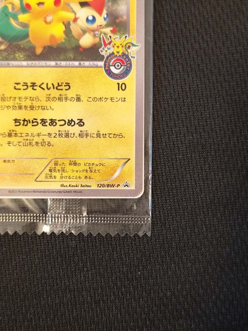 【未開封】ピカチュウ PROMO BW-Pプロモカード 120/BW-P