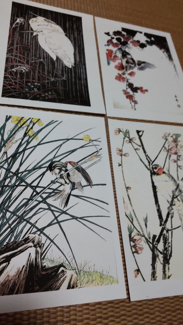 江戸屋の飾り絵　今尾景年の花鳥図の特別セット　8枚組
