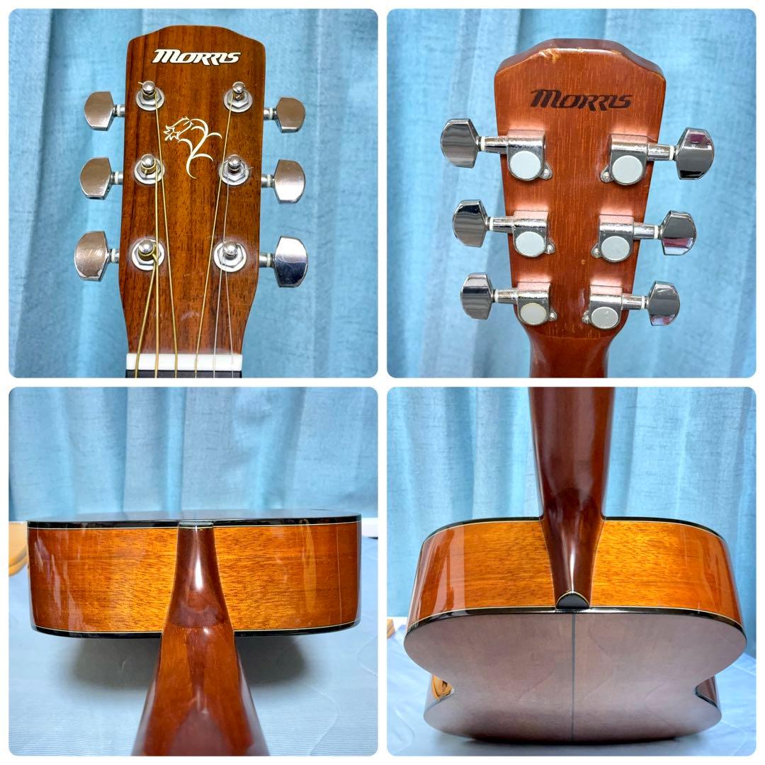 【牛骨】MORRIS！少し小ぶり！F-01Ⅱ【弾き易く調整☆新品弦】