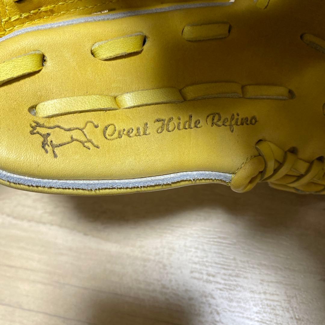 Mizuno Pro 硬式グローブ