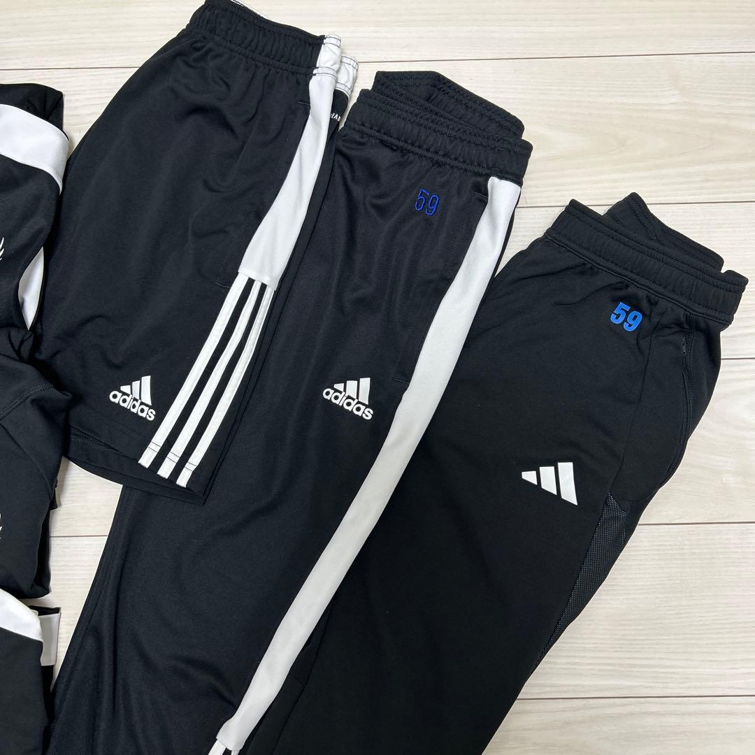 アルビレックス新潟 セットアップ 3点セット L