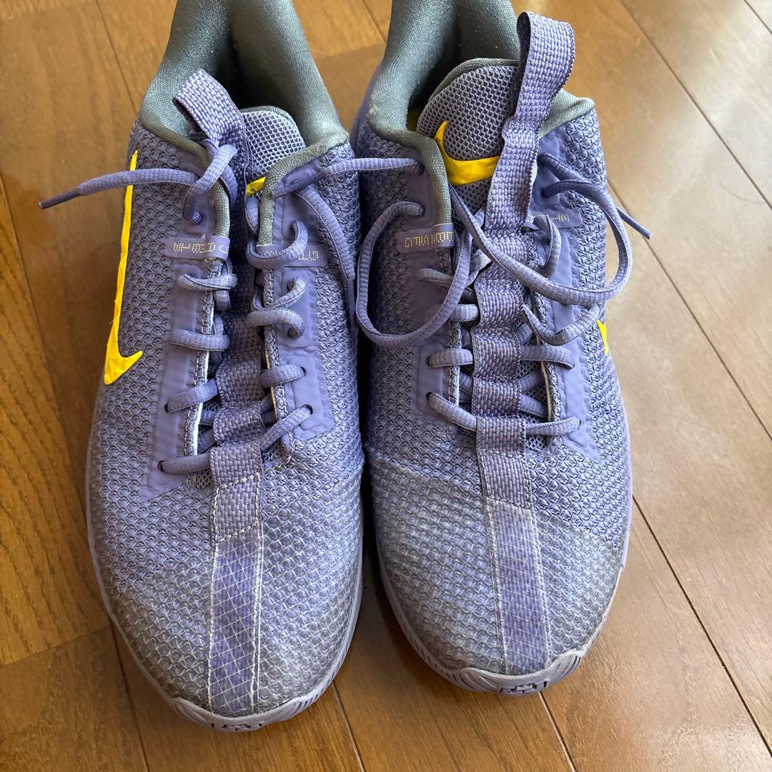 Nike アンバサダー 13