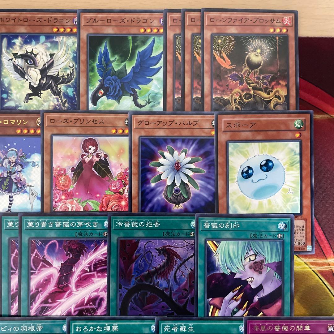 本格構築 ローズドラゴンデッキ レッドローズドラゴン 黒薔薇の破滅竜 月華竜
