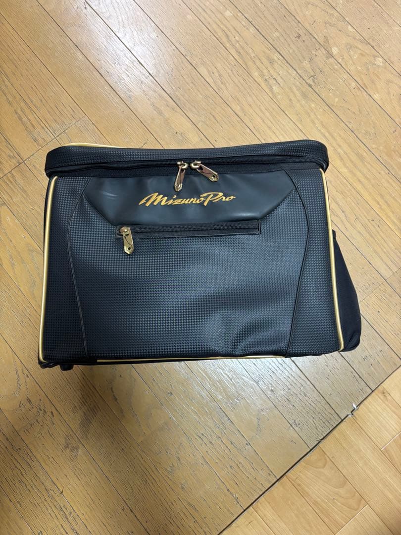 MizunoPro グラブケース　ブラック/ゴールド