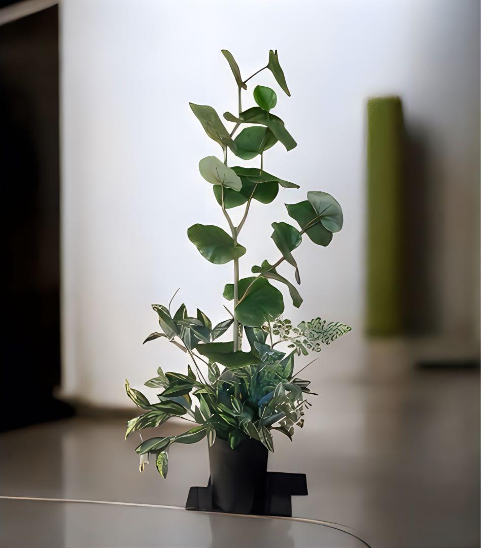 光触媒　人工観葉植物　ウォールグリーン　シーグレープトラカン93gpg