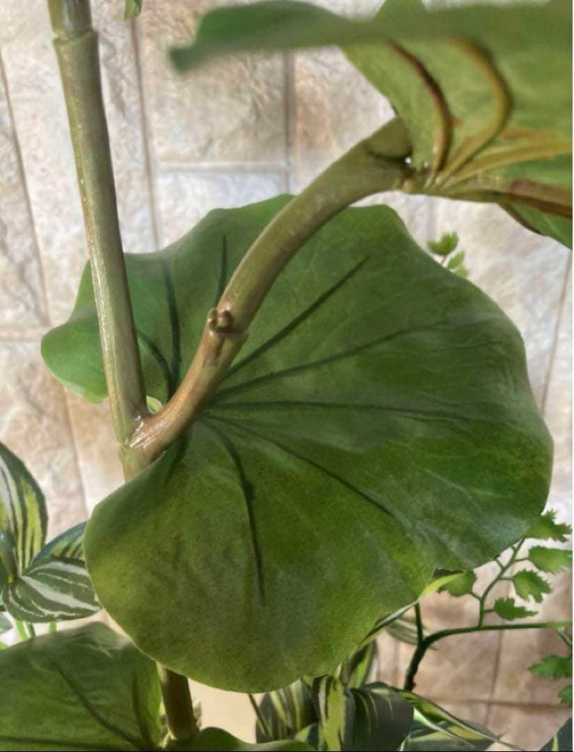 光触媒　人工観葉植物　ウォールグリーン　シーグレープトラカン93gpg
