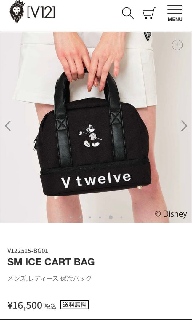 ラウンド用品・アクセサリー V12 SM ICE CART BAG
