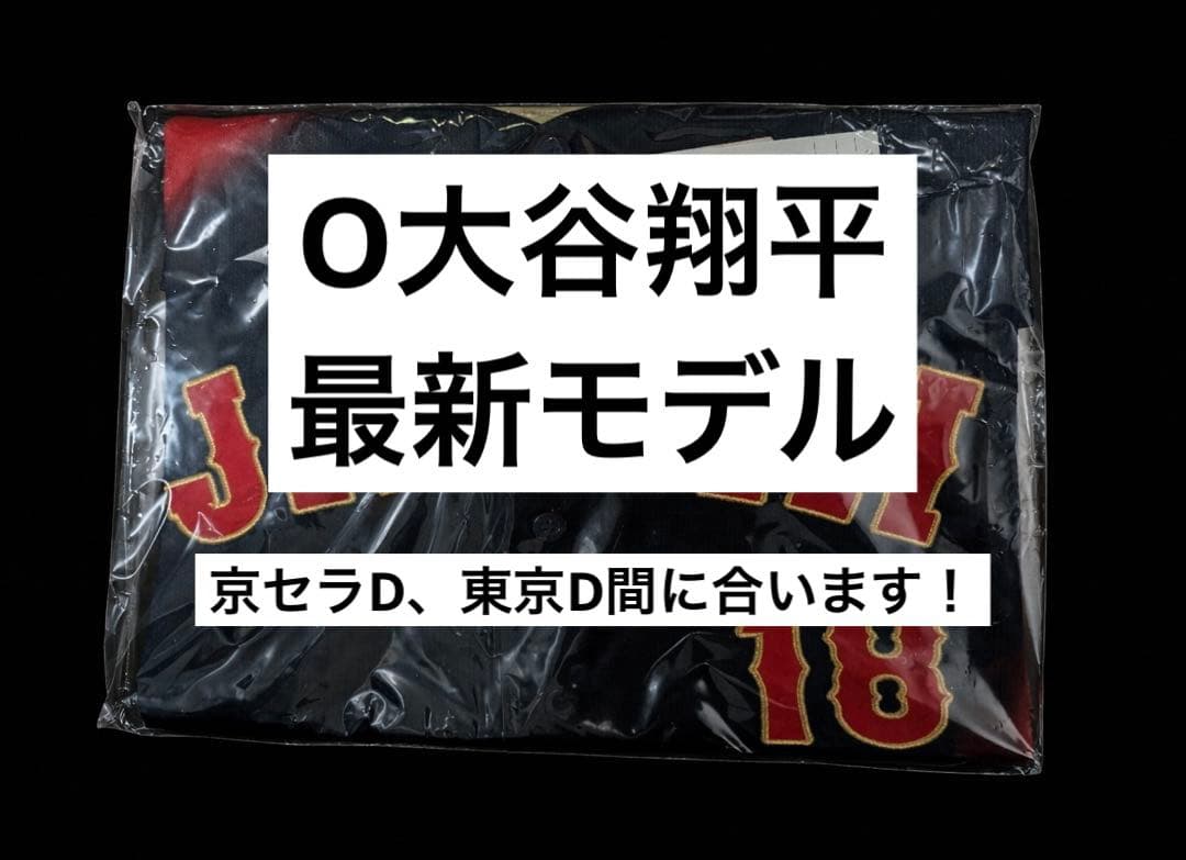 swamifish1様 リクエスト 2点 まとめ商品