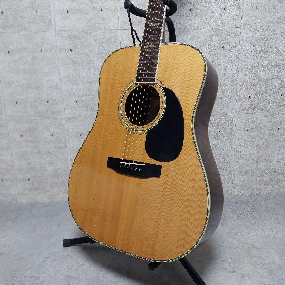 希少 Morris TF W-60 ハカランダ 縦ロゴ モーリス ハードケース付