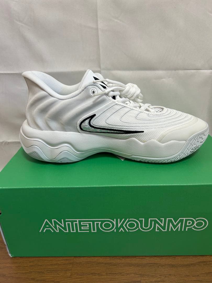 NIKE ヤニスイモータリティ4 25cm