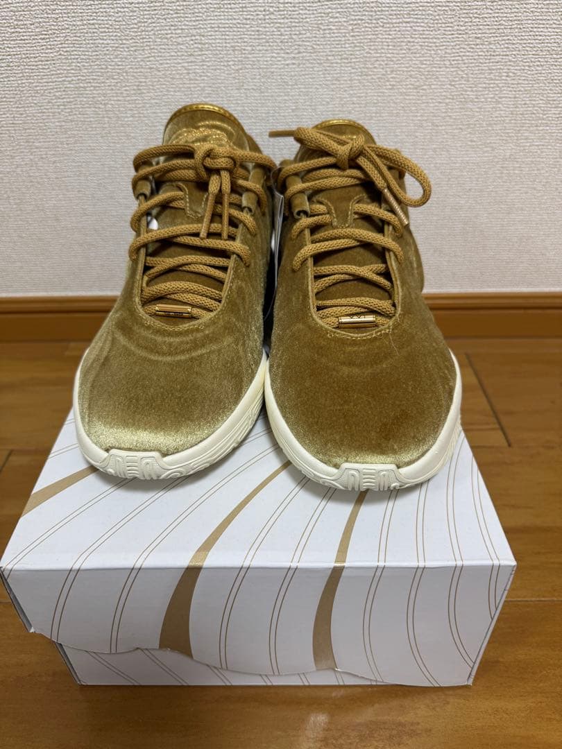 NIKE レブロン バッシュ