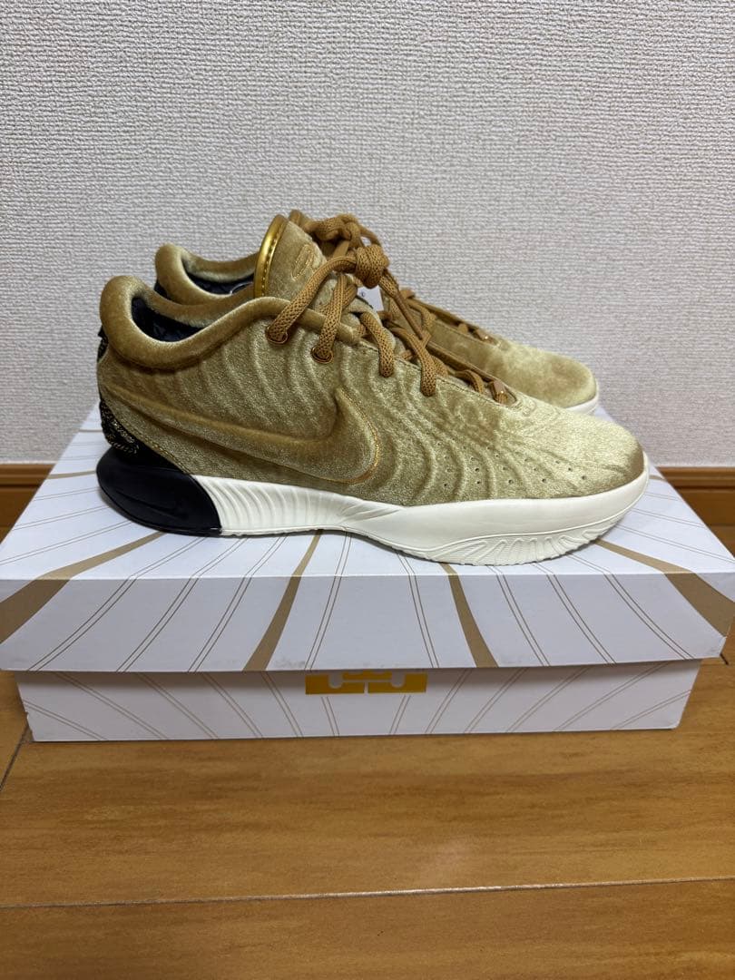 NIKE レブロン バッシュ