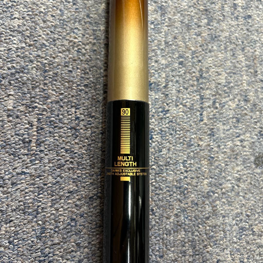 鮎竿　Daiwa瀬音ML マルチレンジ