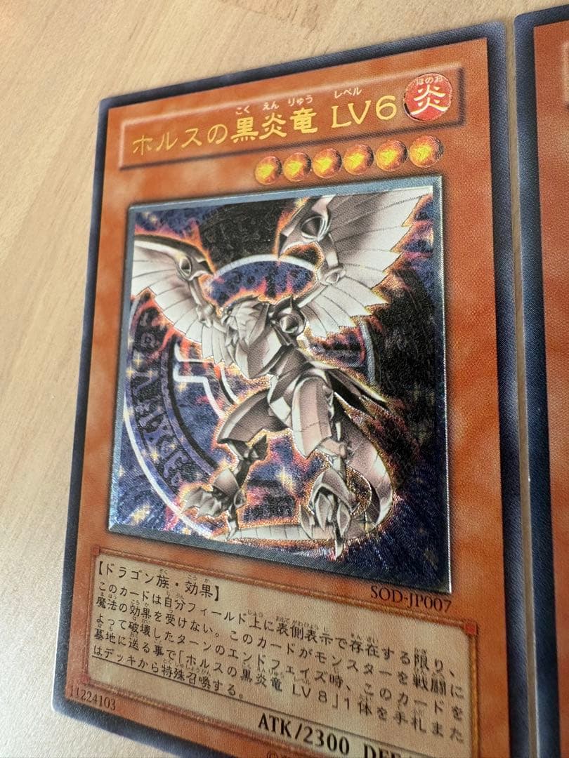 【美品級】ホルスの黒炎竜LV6 LV8 レリーフ2枚セット