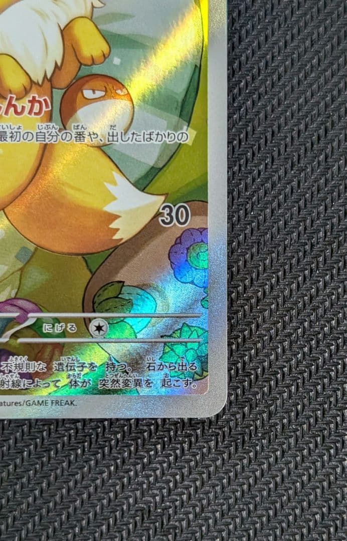 【美品】イーブイ AR仕様 [MC 755/742](スタートデッキ100)