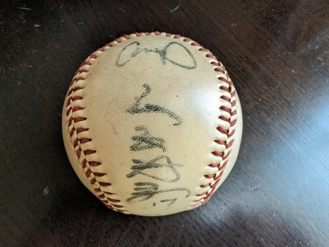 広島 カープ 直筆 サインボール 9球 セット ③ CARP