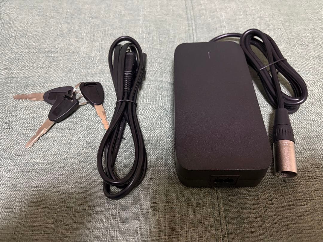 COSWHEEL 電動アシスト自転車 シティタイプ グレー