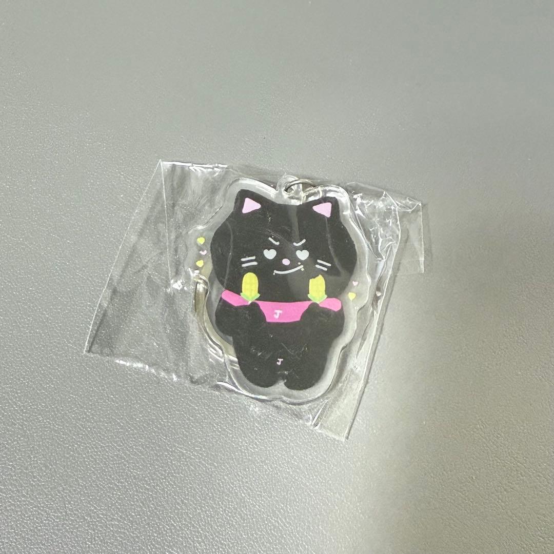 ENHYPEN ジェイ 10cm ぬいぐるみ JAYDEN