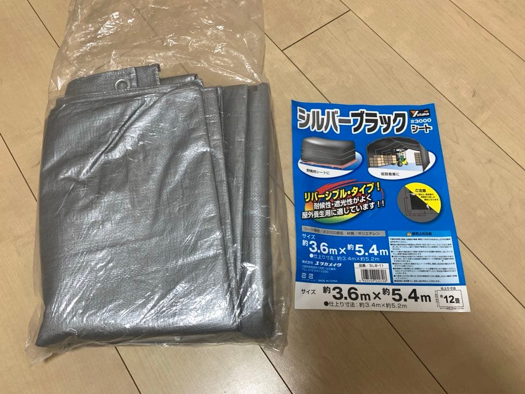 SABBATICAL サバティカル　モーニンググローリー TC おまけ付き
