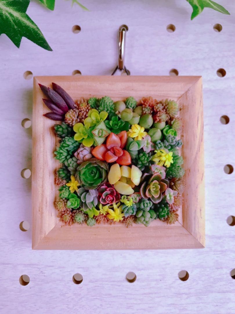 ★★壁掛け❤️★ちまちまキュンキュン★寄せ植え★このまま飾れます★多肉植物