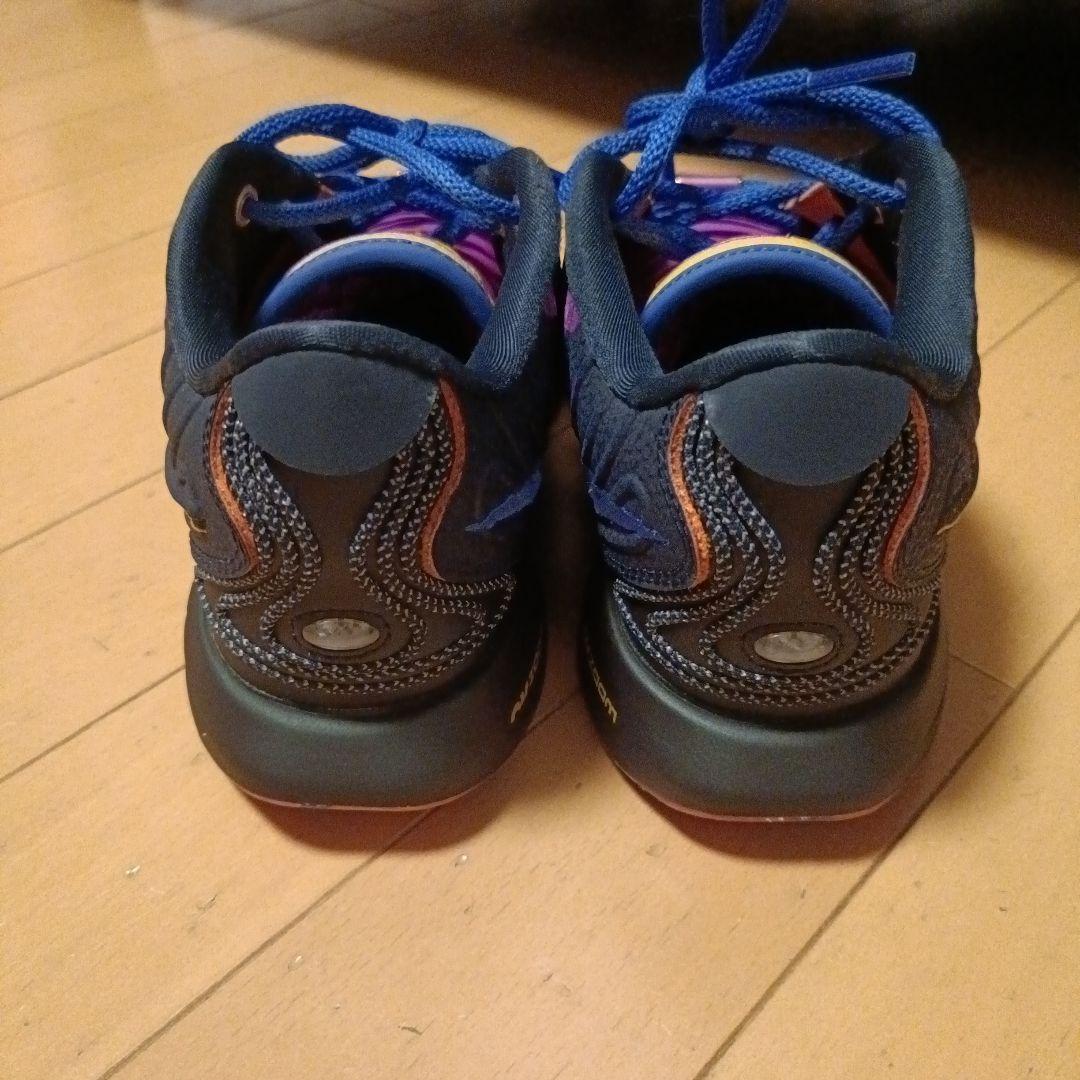 NIKE lebron21 レブロン 21 canp JP 23.5cm