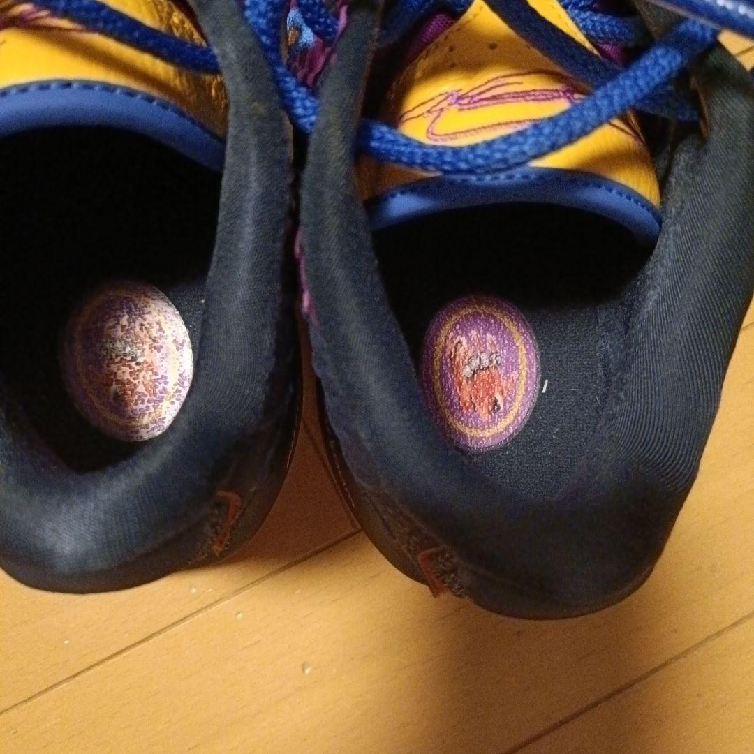 NIKE lebron21 レブロン 21 canp JP 23.5cm