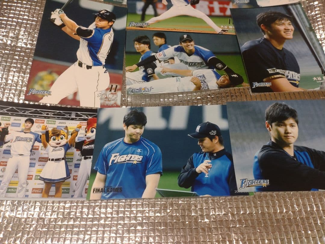 大谷翔平 ハイライトフォト 球団公式写真 ④ 10枚セット 日本ハム
