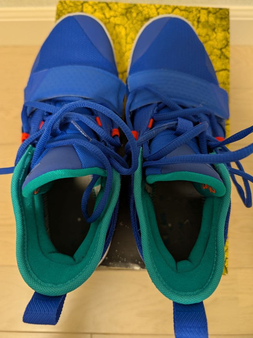 シューズ(男性用) NIKE PG2.5 EP