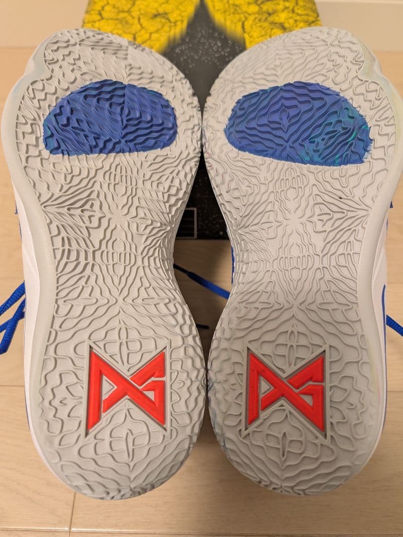 シューズ(男性用) NIKE PG2.5 EP