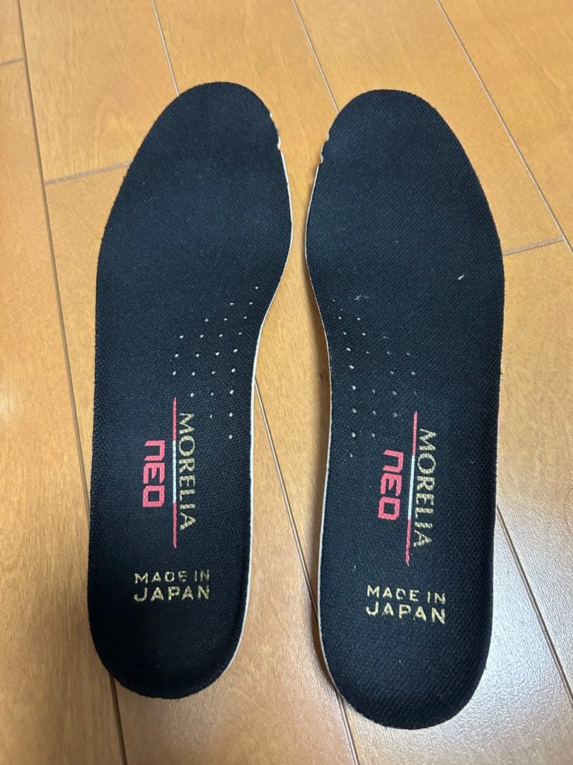 ミズノ　モレリアネオ
