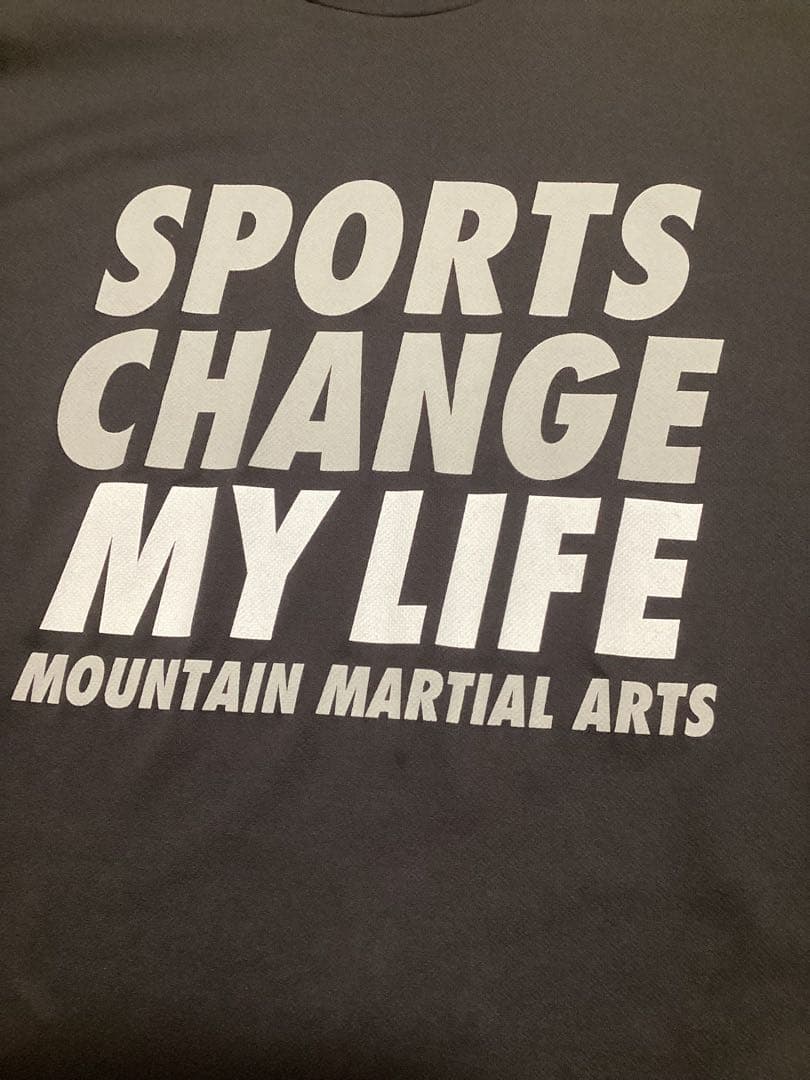 三津家着 マウンテンマーシャルアーツ ビッグTシャツ M 稀少