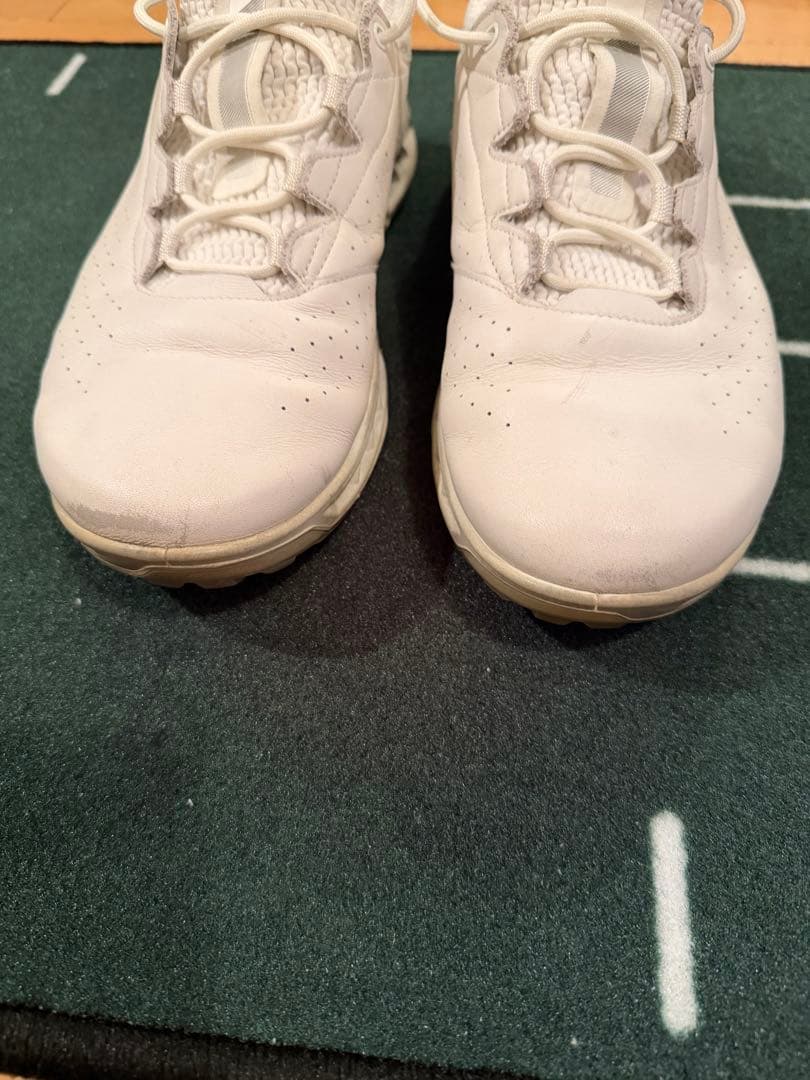 ecco バイオムC4ゴルフシューズスパイクレス　GORE-TEX