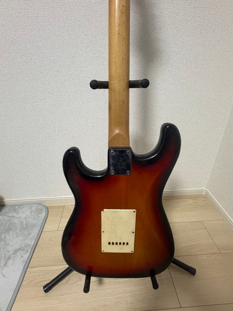 F.J.James エレキギター
